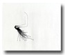 fading memory - by sun yi 孙艺