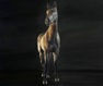 3 year old 2 - by alan brassington